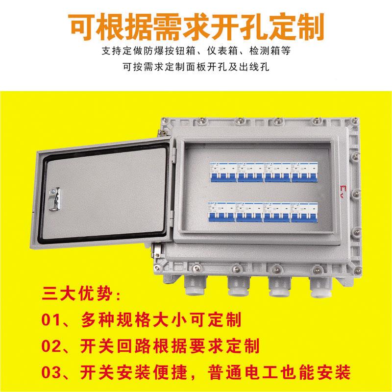 防爆开关箱配座XNQ电置接线箱检修仪表控制子操作柱插监装控端箱