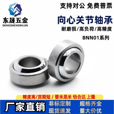 向心关节轴承 BNN51 BNN01-GE5C GE6C GE8C 10 12 15 17 20 25 30