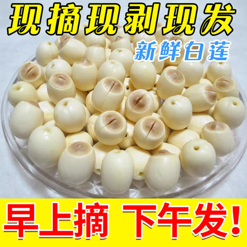 赣州农家自种新鲜生白莲