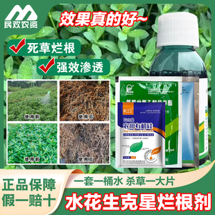 水花生克星烂根剂水花生专杀套装空心莲子草灭草剂死草烂根正品药