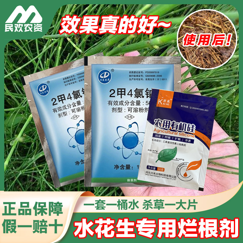 节节草除草剂木贼笔管筒草专用烂根药二甲四氯钠专用灭杀除草药剂