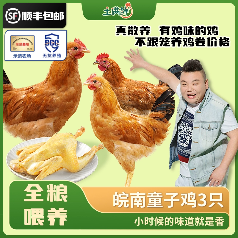 皖南散养土鸡爆炒组合营养新鲜