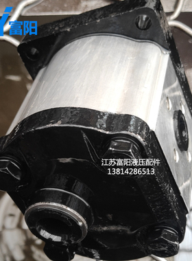 齿轮泵 液压油泵CBN-F310L CBN-F306L CBN-F320L F314L CBN-F316L