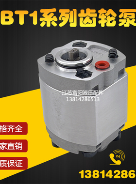 液压油泵CBT1-F202.1/F201.2/F201.6/F205.8/F204.2/F204.8齿轮泵