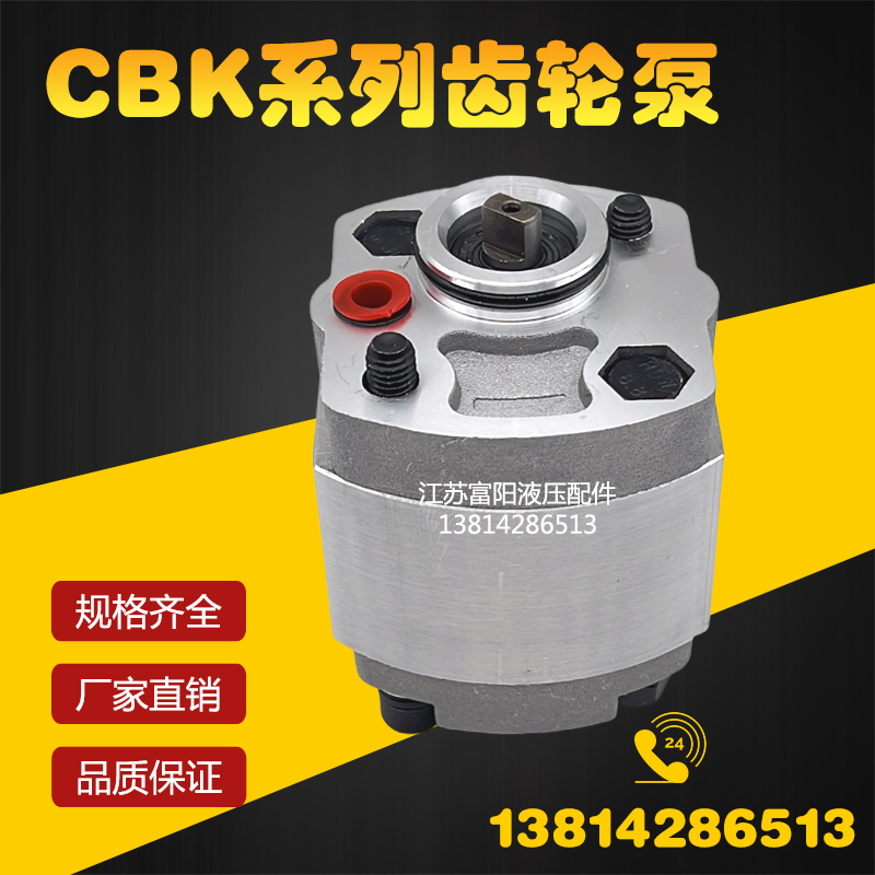 定制小型液压动力单元cbk油泵