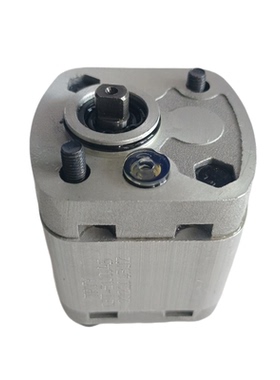 TRYY齿轮泵CBT-E100.19/E100.26/E100.38/E100.45/E100.60E100.75