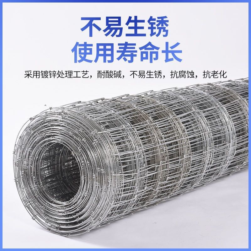热镀锌铁丝网防锈围栏网拦牛羊养殖网牛栏网果园防护网钢丝网
