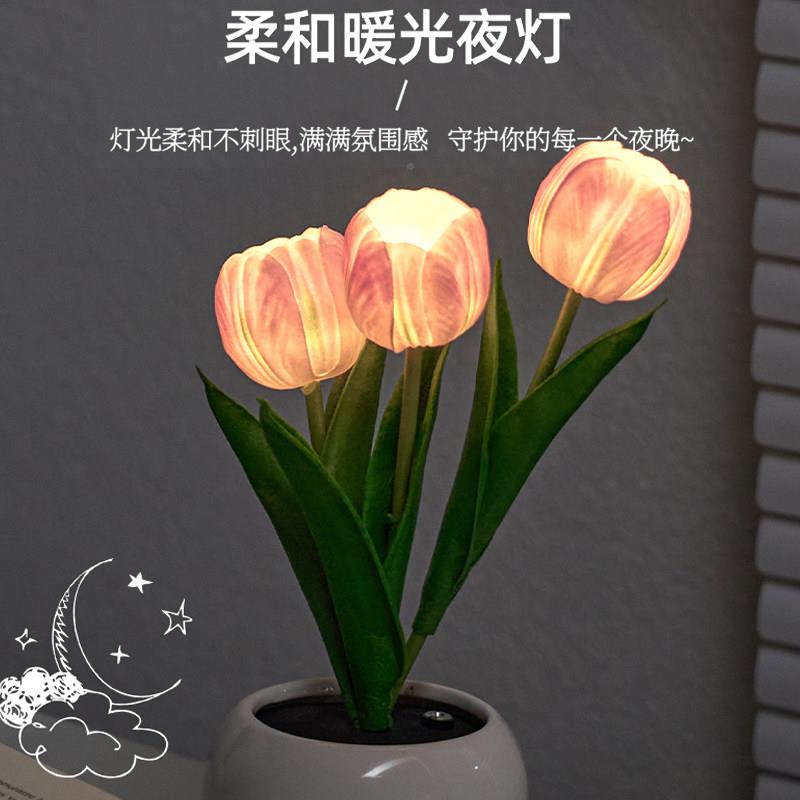 盆栽郁金师节郁礼物送老师妈妈生日毕业礼盒金香高级教台创意小夜