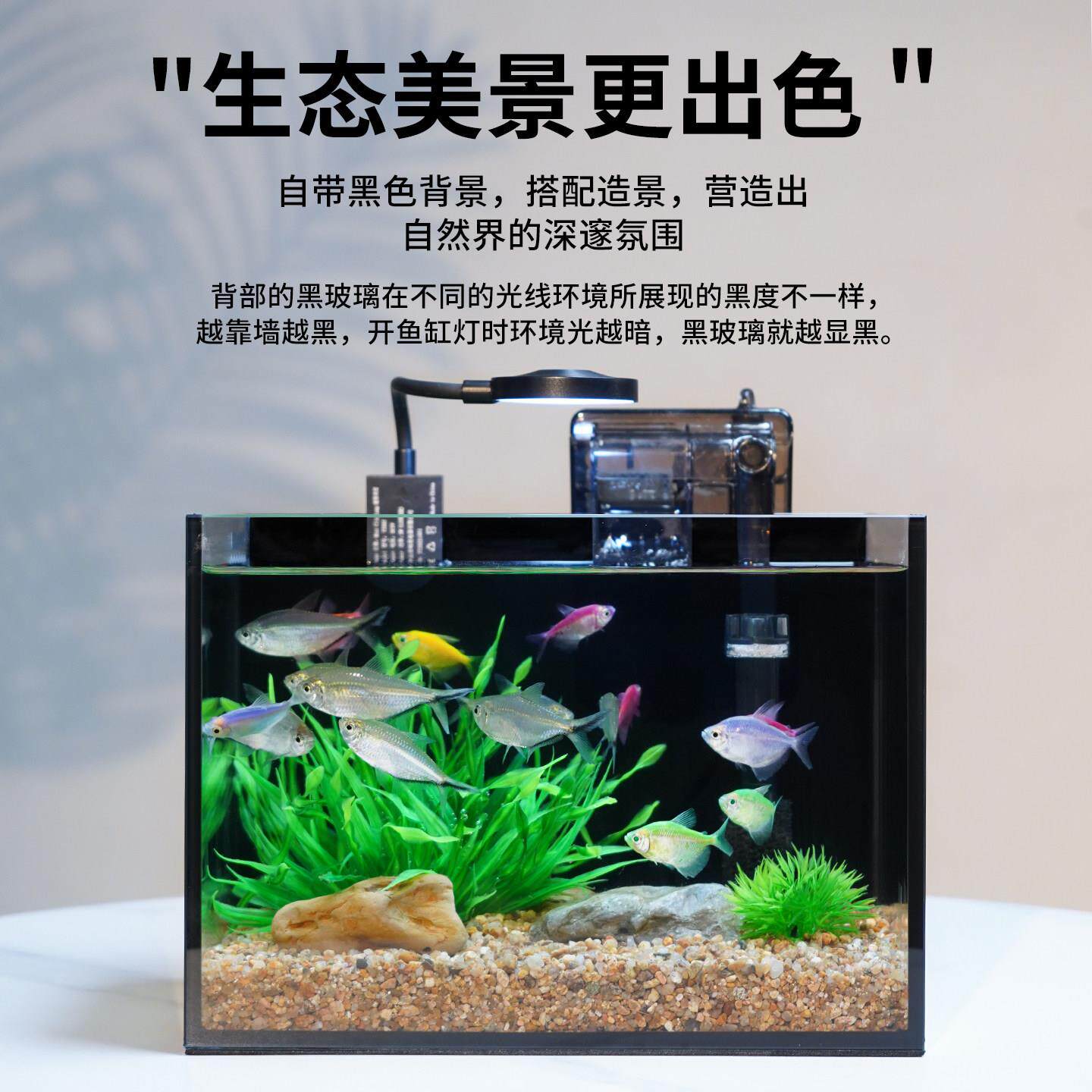 悠悠全套小鱼缸超白玻璃小型生态鱼缸客厅家用桌面自循环过滤鱼缸