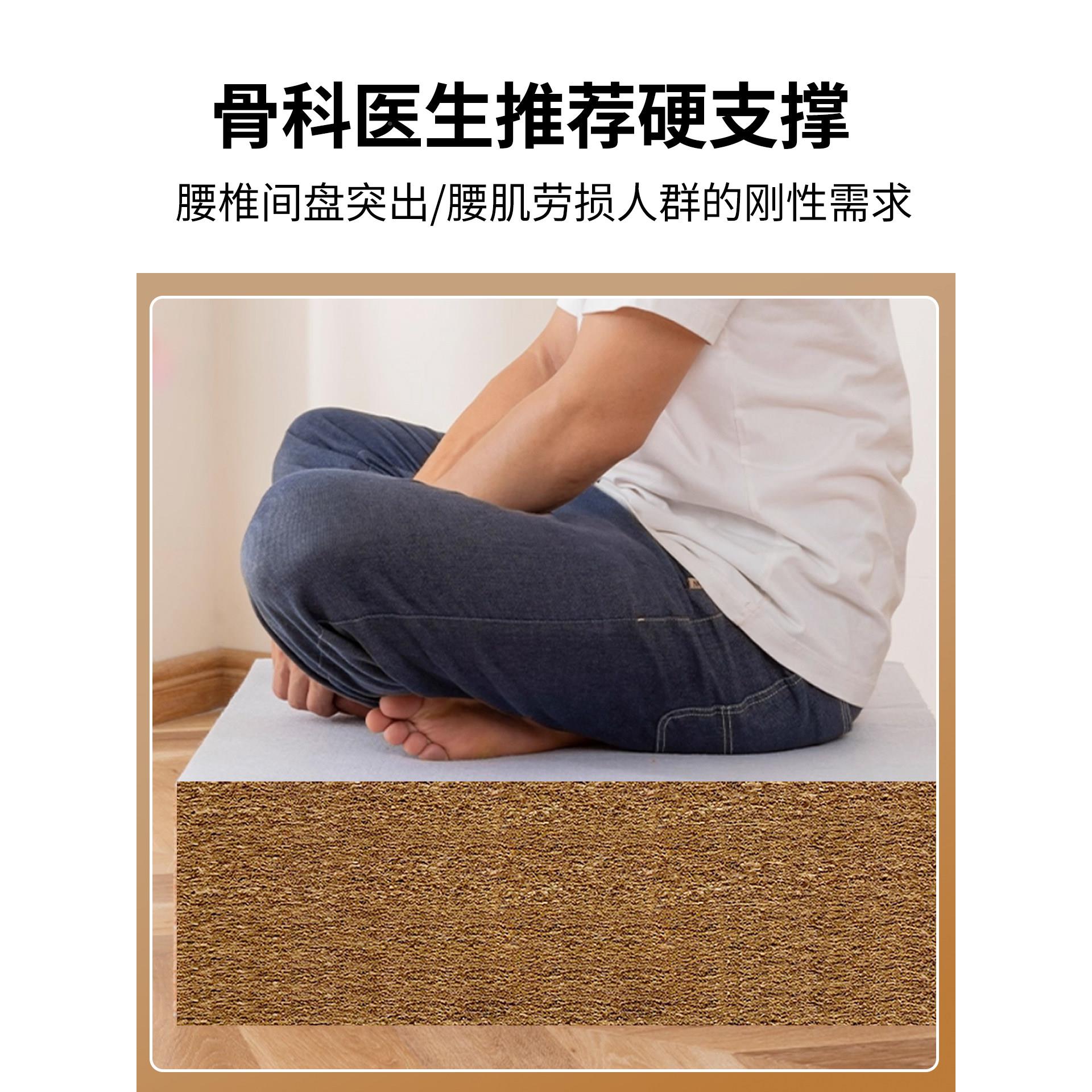 定制椰高乳胶沙发实垫密度海绵棕垫硬厚木FD-00沙发坐垫背一体中