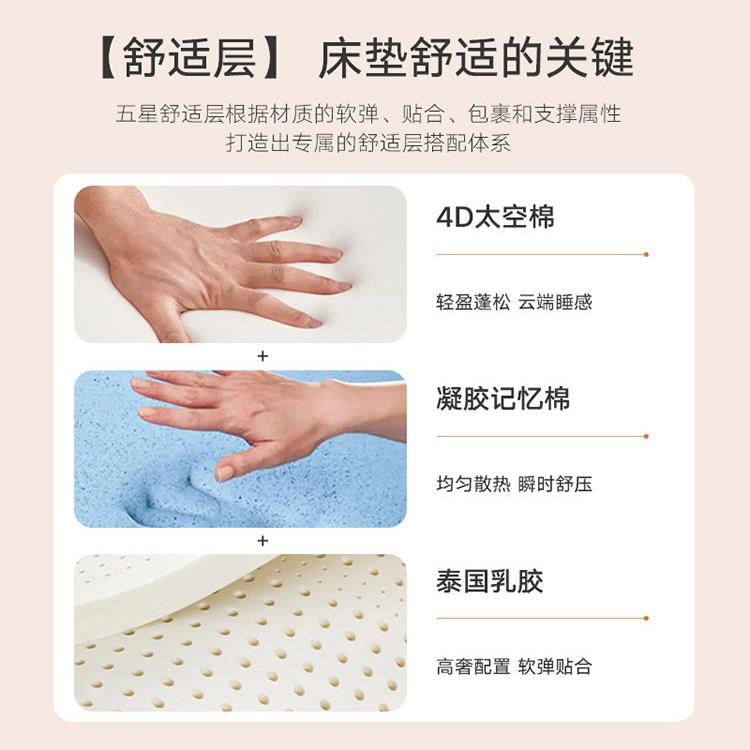 厦门老字号金鹭宝忆3D羊床泡垫记沫垫椰子棕榈乳胶硬830棕色独立