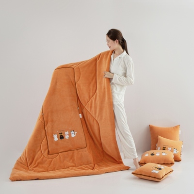 爆款加大加厚猫咪家族抱枕被两用沙发午睡用客厅床上二合一