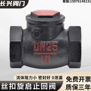 水泵排污用单项逆止阀DN H14T 10丝扣旋启式 止回阀单向阀立式 卧式