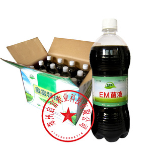 菌液化粪池生物分解剂养猪场除臭剂垃圾厕所污水处理剂微生物菌