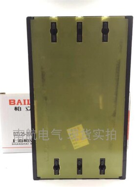 柏立DZL DZ   漏电断路器漏电关