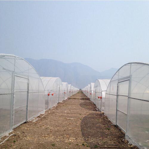 大棚骨架型暖棚热镀锌管蔬菜养殖大棚温室大棚卉大棚
