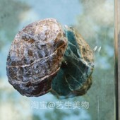 玻璃门石头拉手单对装 实木门大门把手规则定制