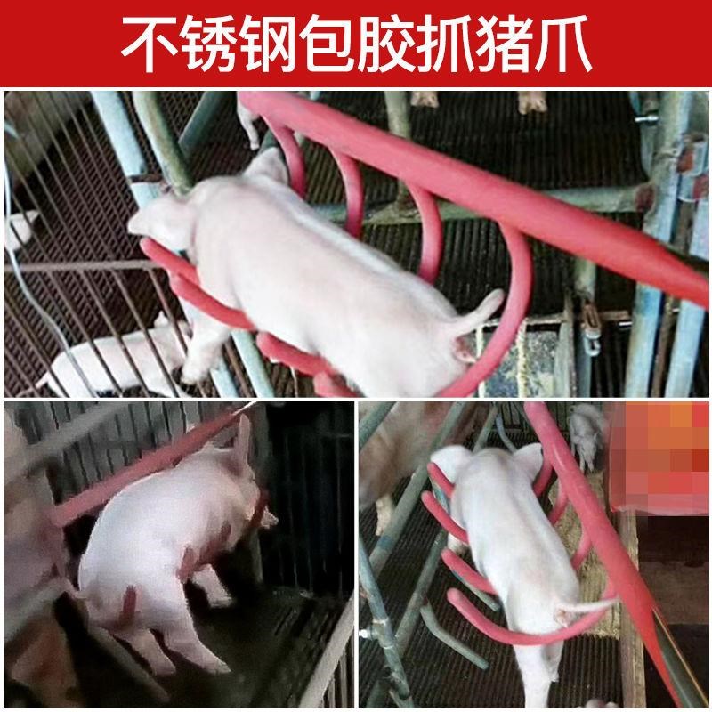 抓猪器仔猪抓猪夹子兽用捞猪器猪场抓猪捞猪耙抓猪钳