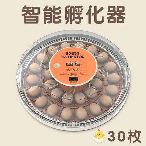 跨境全自动小型智能家禽孵化器鸡蛋孵蛋器养殖设备芦丁鸡