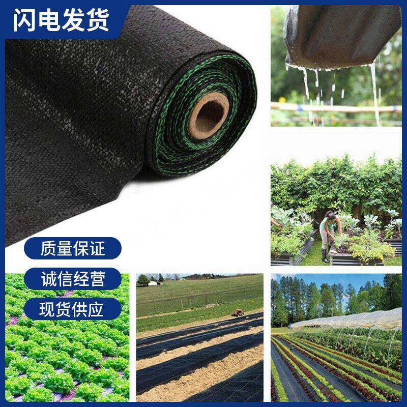 厂家园艺地布防草布果园花卉种植透气透水保湿黑色抗老化地膜