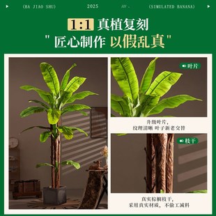 芭蕉树仿真大型绿植假室内装饰假树客厅落地仿生造景
