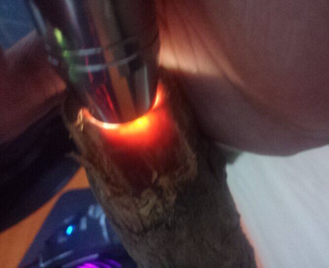 长白山其他o新款琥珀木松丁料高油高包料瘤疤吸料,家居饰品,根雕,淘宝优惠券,粉丝福利购,淘宝优惠卷