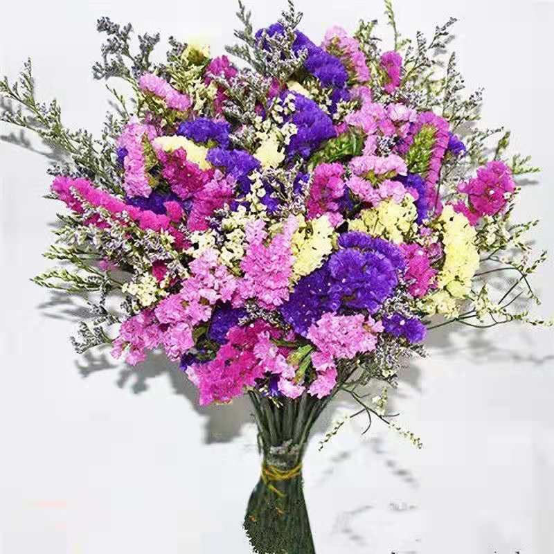 云南真花莫忘我满天星水晶草干花