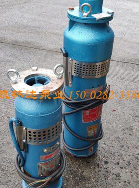 喷泉专用不锈钢qsp大流量抽水机潜水泵QS充水式农田灌溉工地降水