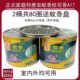 正点家庭特惠装 蚊香40盘x2桶送蚊香盘桂花香型A17室内外驱蚊竹碳