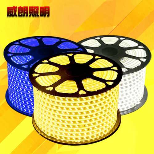 5730led双色变光灯带 三色遥控变光软灯条防水装饰双排高亮220