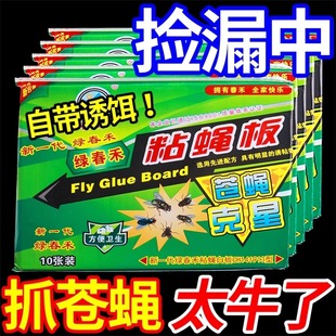 苍蝇贴强力粘苍蝇纸粘蝇板药沾蚊杀手捕捉器灭蝇子神器一扫光家用