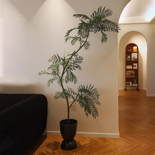 森空间电视柜旁装饰蓝楹软装物室内客厅风格美陈摆设