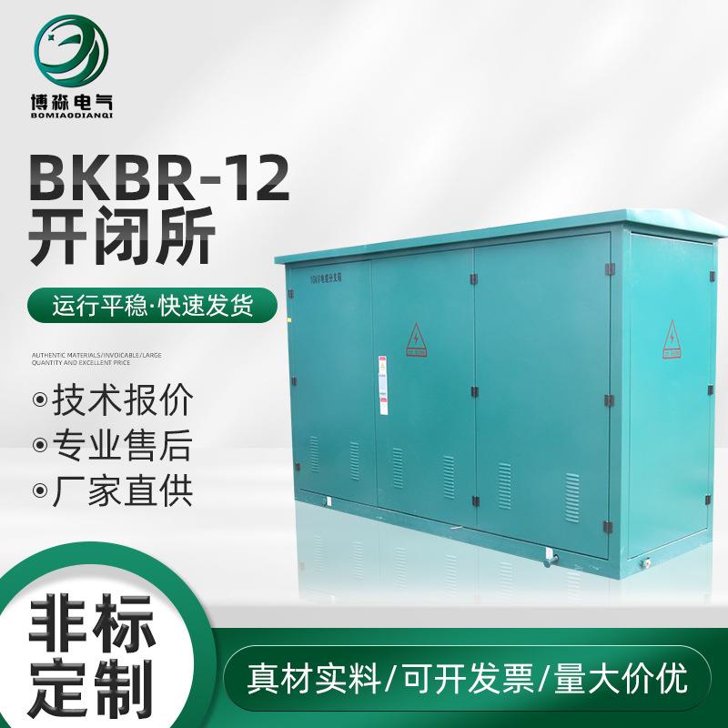 BKBR-12开闭所环网柜六氟化硫开闭所高压充气柜配电柜智能电网