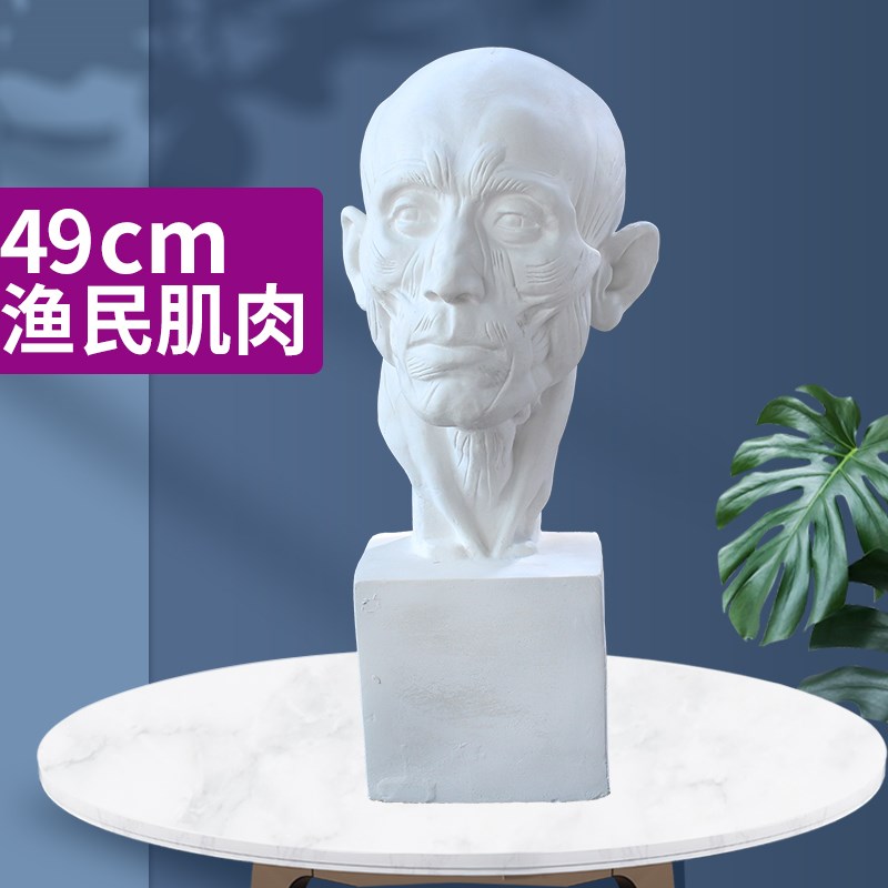 渔民肌肉解剖石膏像人物石膏头像渔民肌肉石膏像摆件教具雕塑摆件