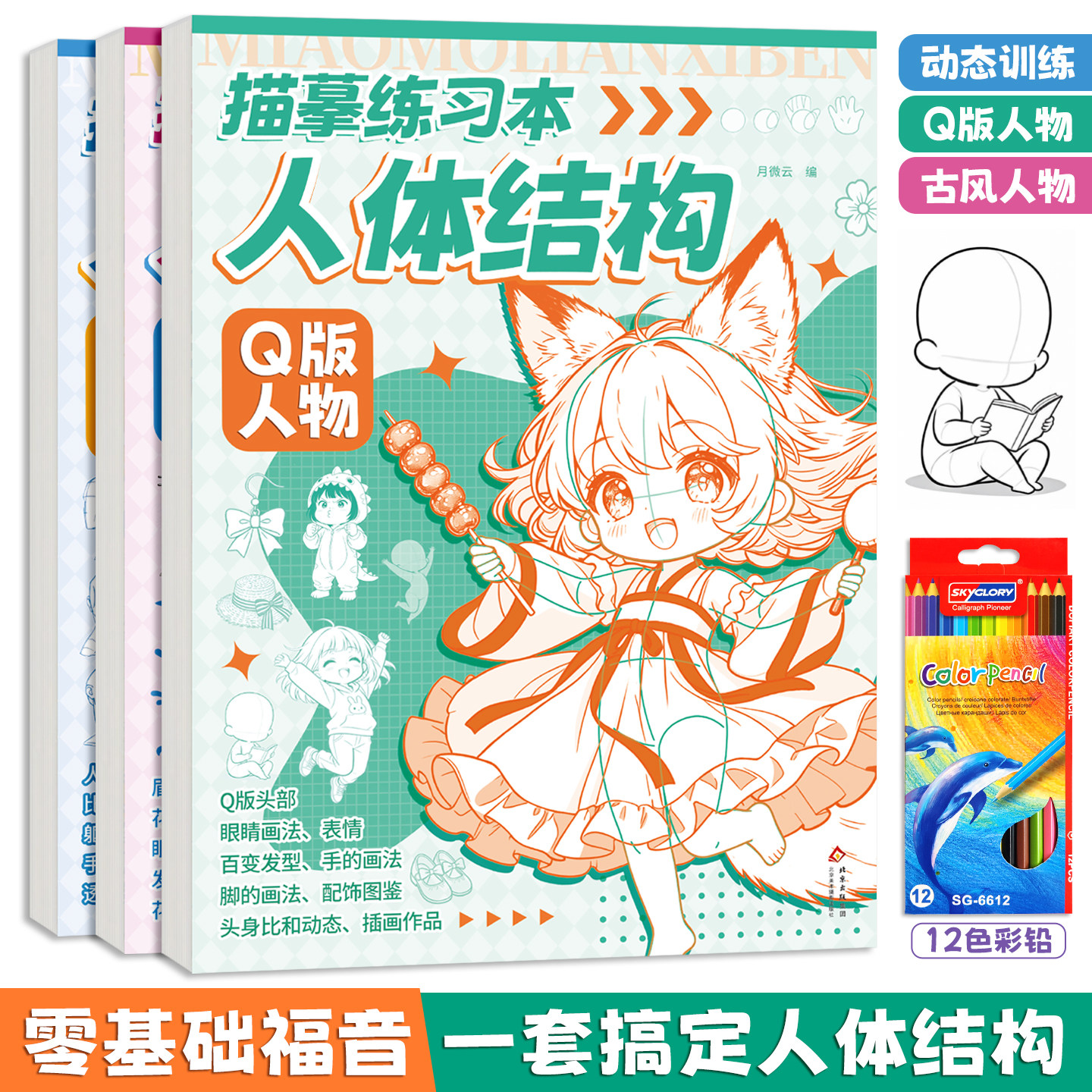 人体结构素描本零基础入门图片