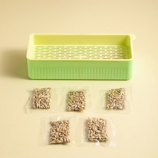 草狗狗食用草宠物排毛球无土育苗盘盆栽 拉布拉多用狗草狗可以吃