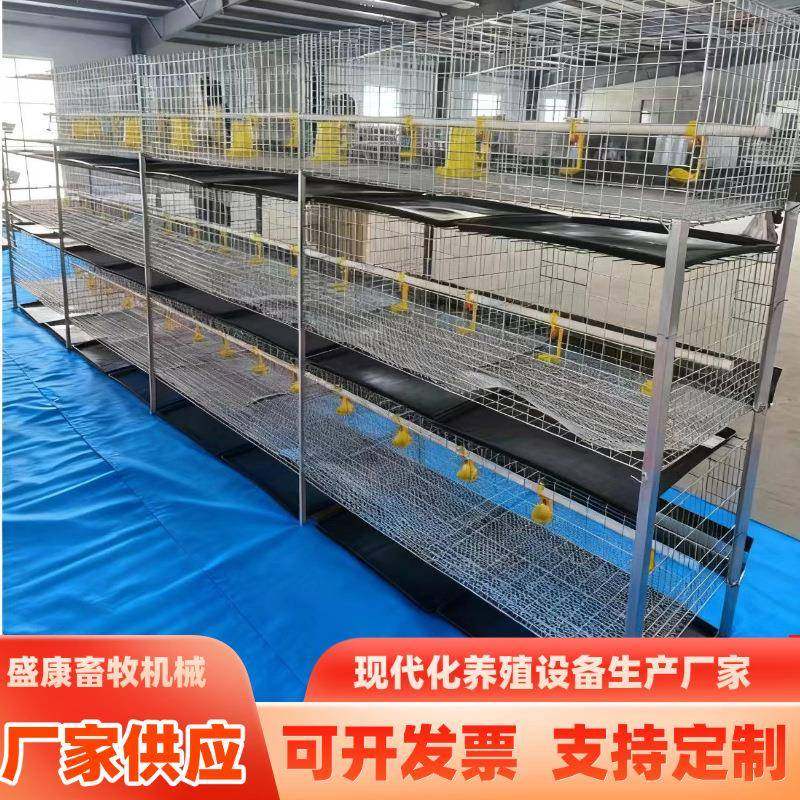 养殖鸡舍三层立体肉鸡笼养殖设备粪盘肉鸡笼畜牧养殖养鸡肉鸡笼,畜牧/养殖物资,特种养殖设备,淘宝优惠券,粉丝福利购,淘宝优惠卷