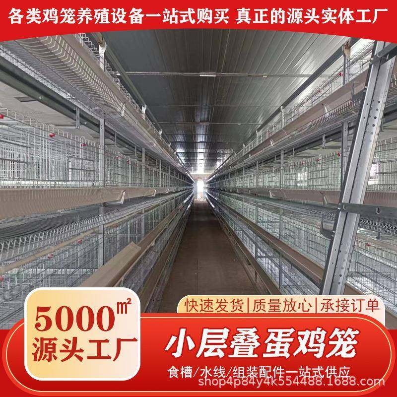 小层叠蛋鸡笼框架叠式阶梯式养鸡笼畜牧养殖全自动化鸡笼厂家,畜牧/养殖物资,特种养殖设备,淘宝优惠券,粉丝福利购,淘宝优惠卷