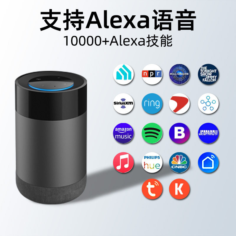 国际版源头厂家 AI语音交互9国语音涂鸦智能音箱智能Alexa