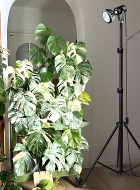 广联天下三脚架支架全光谱植物补光绿色植物热盆栽植物专用植物生