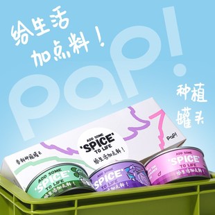 生日礼物 PAP厨房香料种植罐紫苏罗勒藿香盆栽绿植实用好养