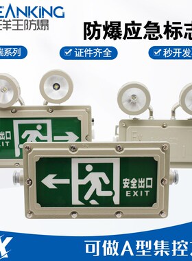 海洋王防爆应急灯安全疏散指示灯24v36v220vA型集控集电集中控制