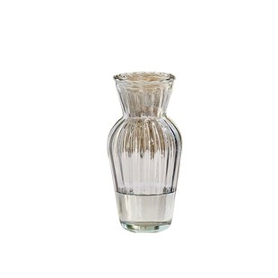 欧式创意玻璃花瓶透明网红水培水养绿植鲜花小插花瓶桌面摆件装饰