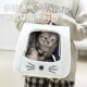 猫包外出便携大容量双肩猫书包宠物猫咪背包猫笼装 外出包用品 猫
