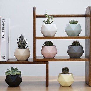 创意几何多边形小花盆 多肉花盆小绿植物花盆 陶瓷花盆容器带托盘