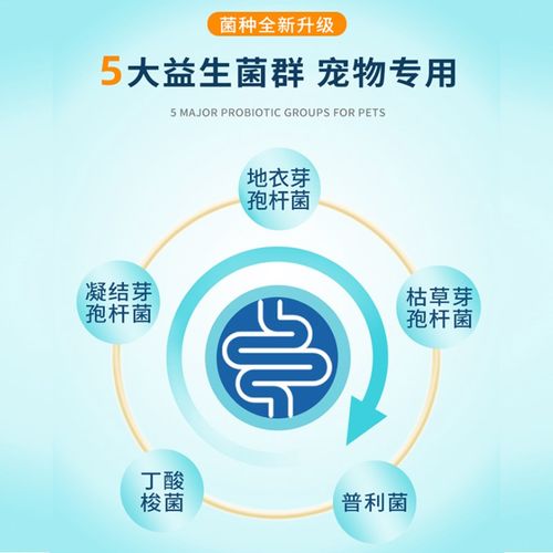 比熊犬专用益生菌小狗狗宠物成幼犬吃的消化酵母活性菌肠道消化宝