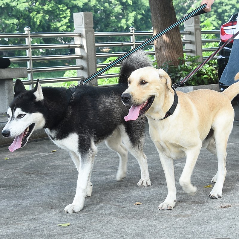 狗狗牵引绳尼龙织带训犬栓狗绳子大型犬金毛拉布拉多防拉断狗绳子