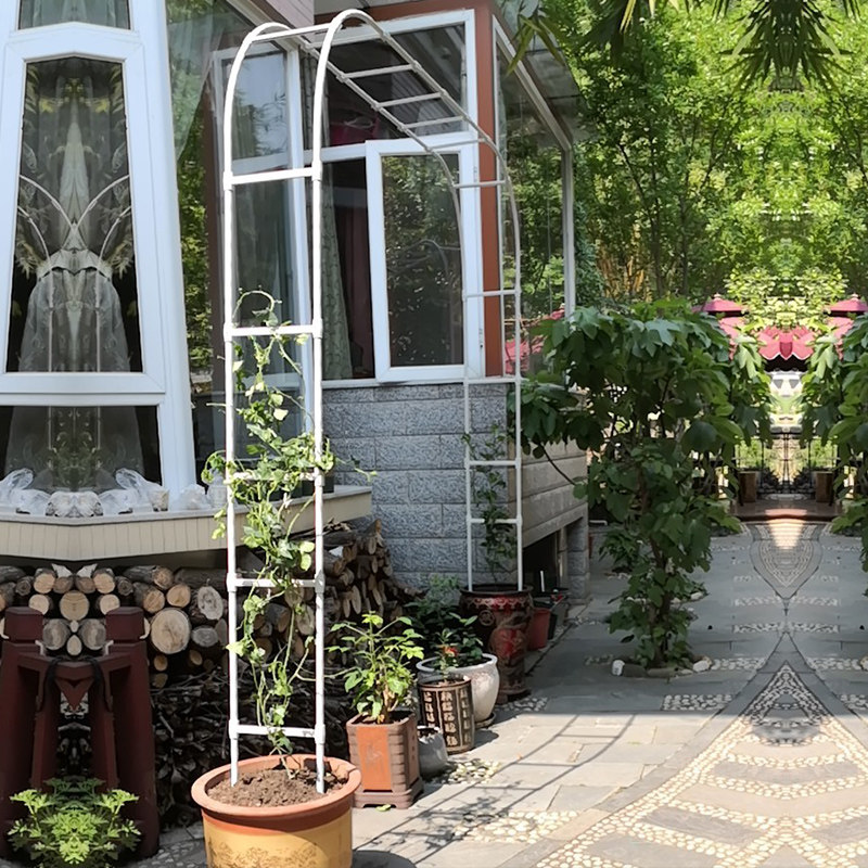 大型拱门花架拱形藤本月季花藤支架玫瑰蔷薇铁线莲花园庭院攀爬架,鲜花速递/花卉仿真/绿植园艺,花架,淘宝优惠券,粉丝福利购,淘宝优惠卷