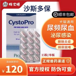 英国沙斯多保犬猫狗泌尿痛利尿通结石尿频血感染膀胱修复沙司多保