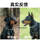 博美立耳神器狗狗专用立耳辅助器小狗立耳贴胶带固定夹子幼犬竖耳